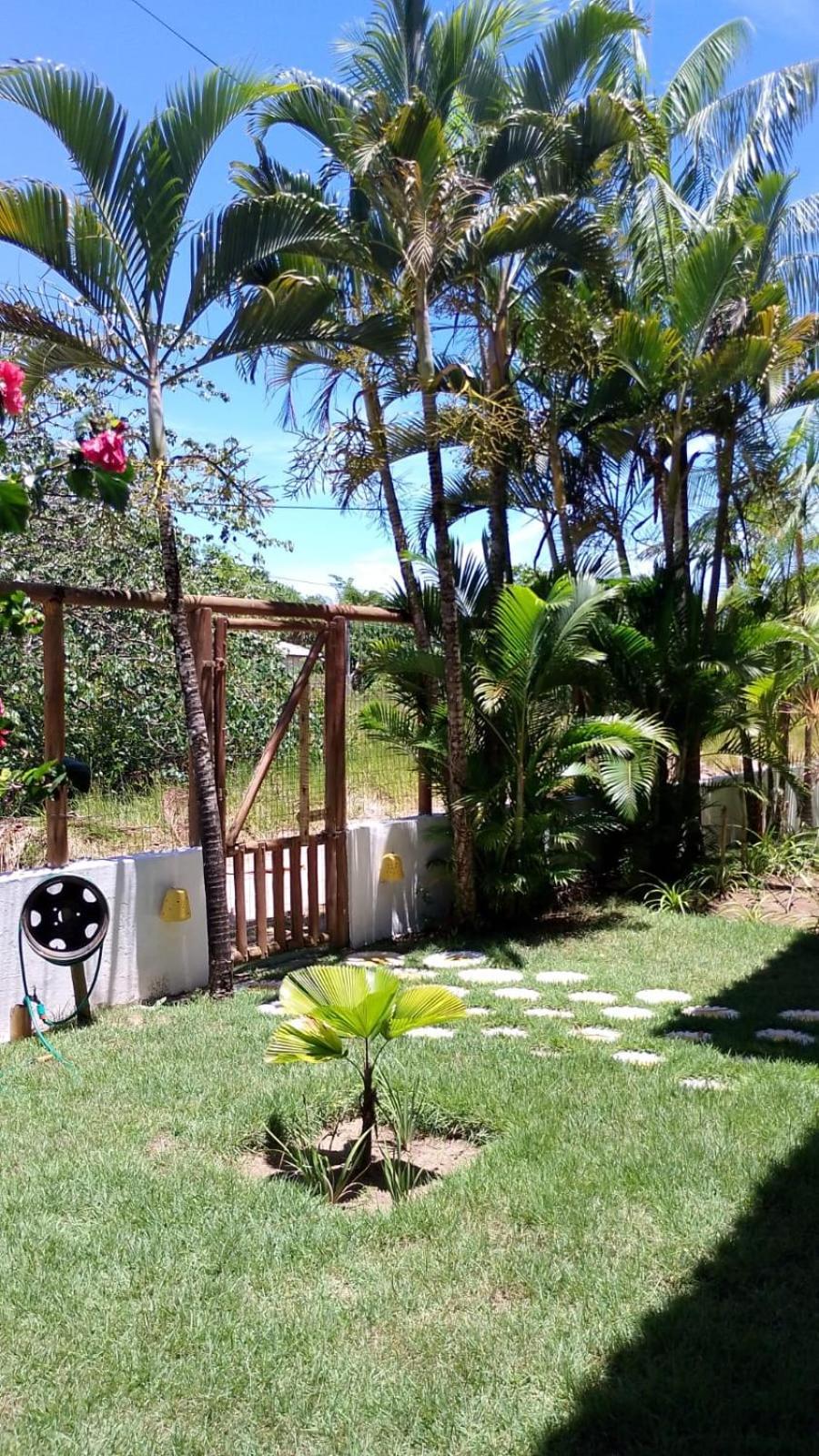Pousada Eucaliptos Barra Grande  Exteriör bild